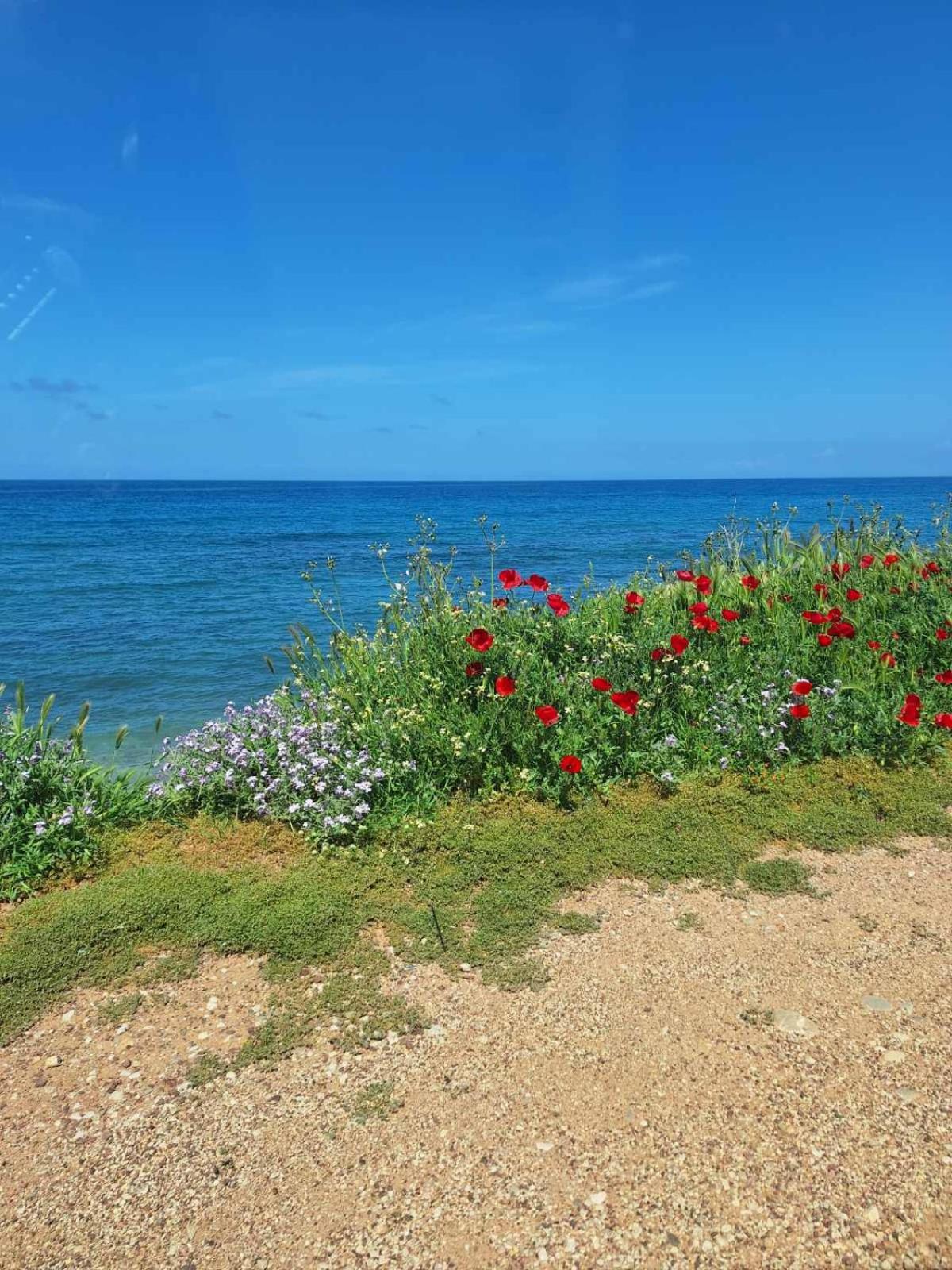 Ariadne Studio كيوبارِسِيا المظهر الخارجي الصورة